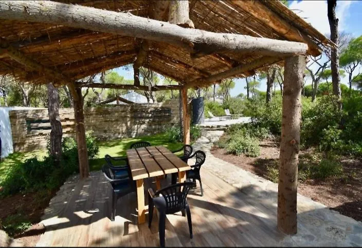Casa Palmito 2 Villa Chiclana de la Frontera 0*,  Spain