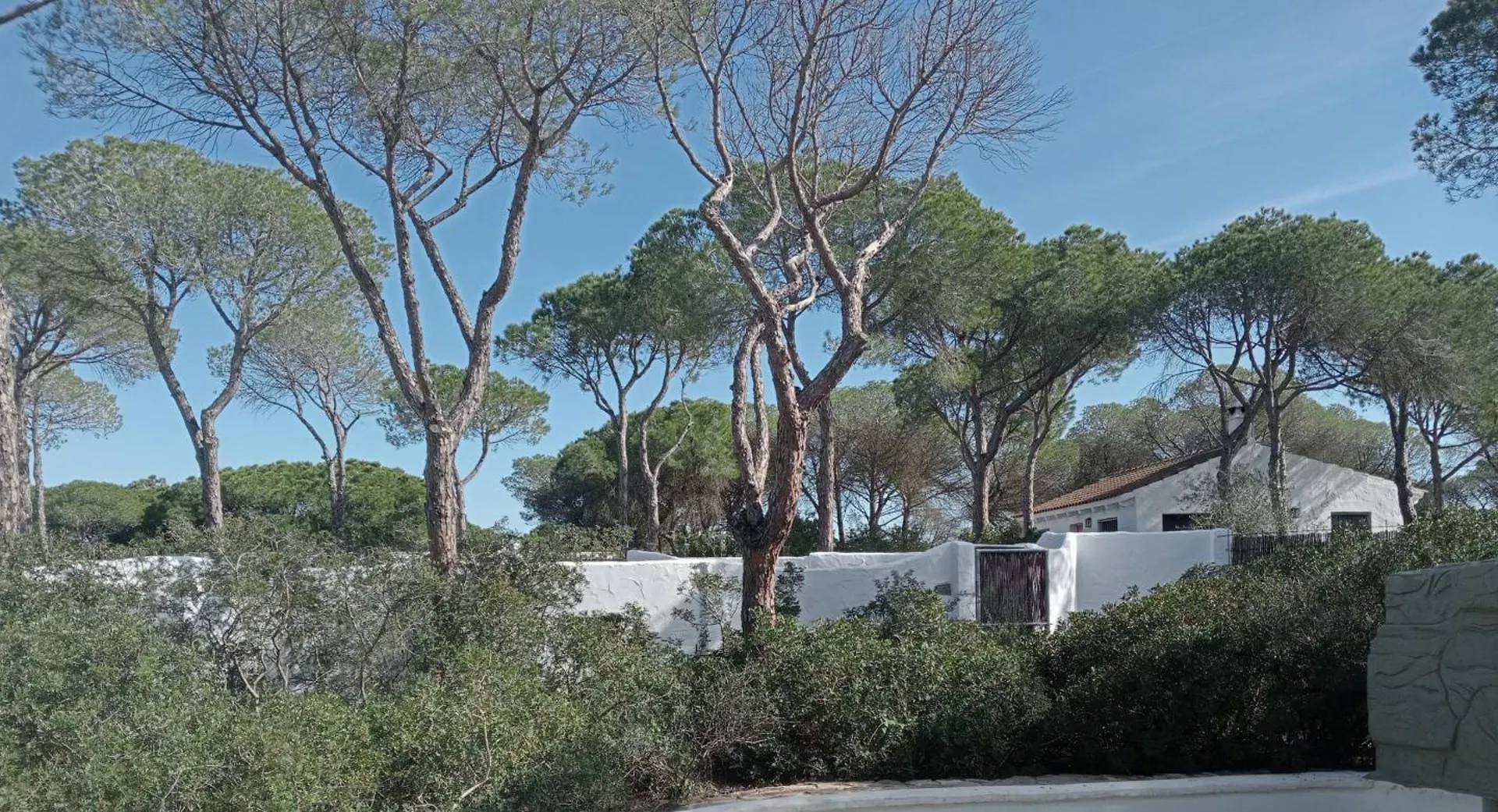 Casa Palmito 2 Villa Chiclana de la Frontera